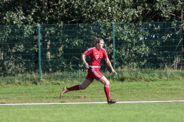 Bild 42 - Frauen SV Wahlstedt - ATSV Stockelsdorf : Ergebnis: 2:2